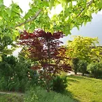 Bed & Breakfast Casa Brunelli