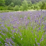 Casa Brunelli Bed & Breakfast Trento