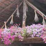 Bed & Breakfast Casa Brunelli Trento