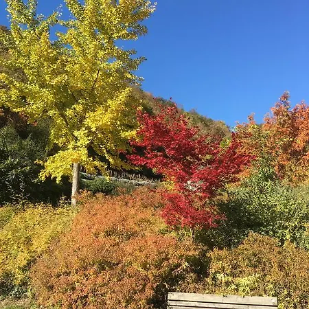 Frühstückspension Casa Brunelli Trient