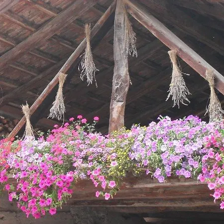 Bed & Breakfast Casa Brunelli Trente