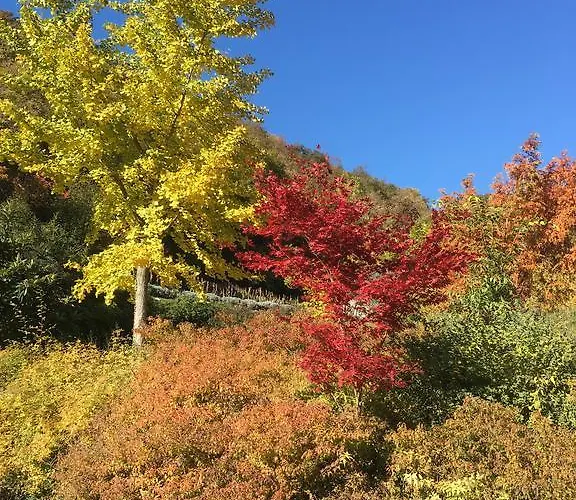 Frühstückspension Casa Brunelli Trient