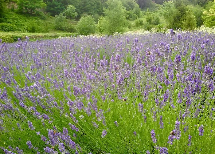 Casa Brunelli לינה וארוחת בוקר טרנטו